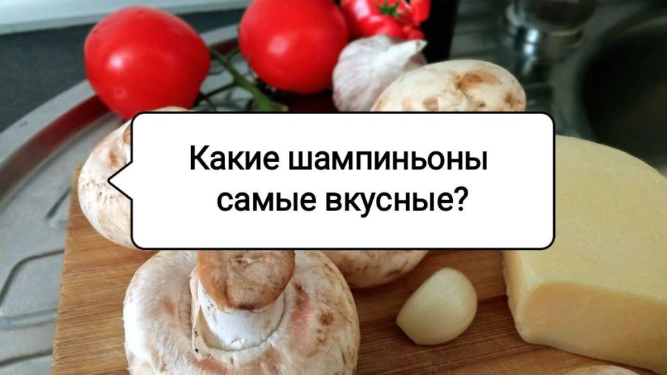    :   -