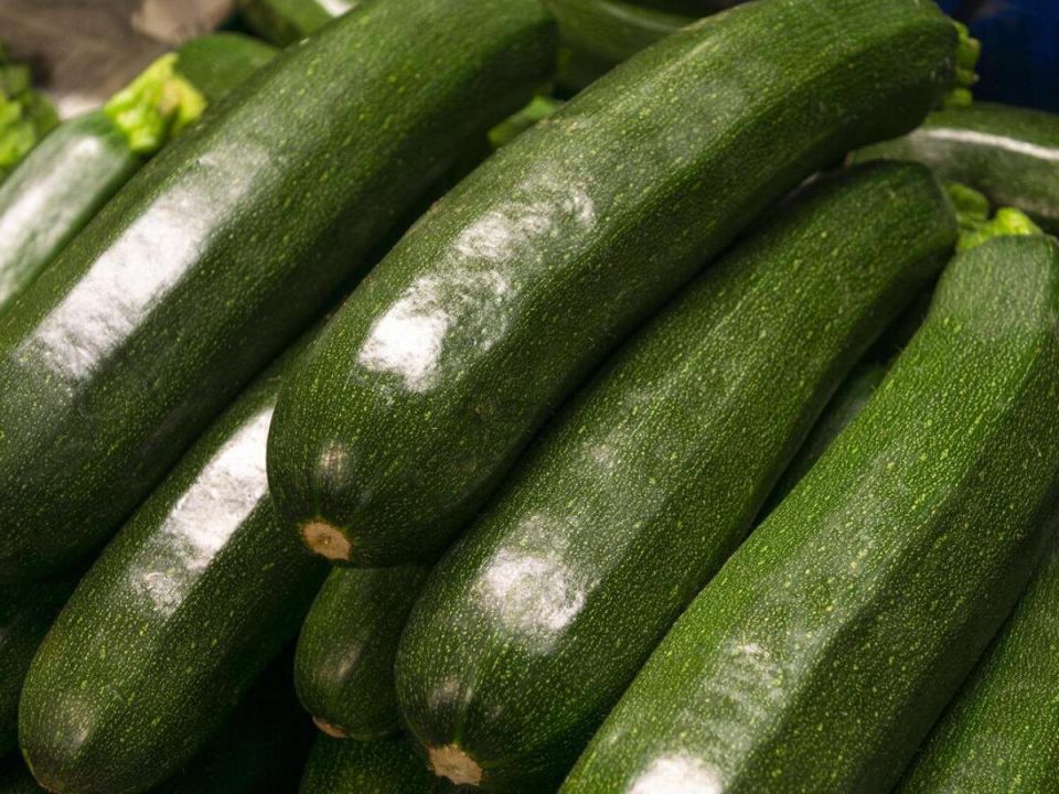 Кабачки без хлопот: пять сортов с нежной кожицей и минимальными семенами