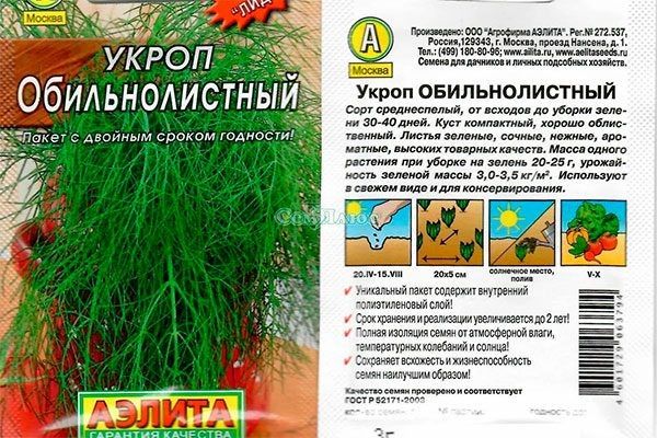 Укроп Обильнолистный: Как вырастить зелень с насыщенным ароматом и высокой урожайностью