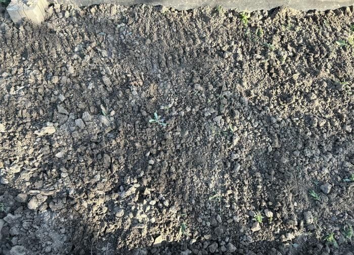 Удивительные свойства золы: как садоводы превращают её в золото для растений