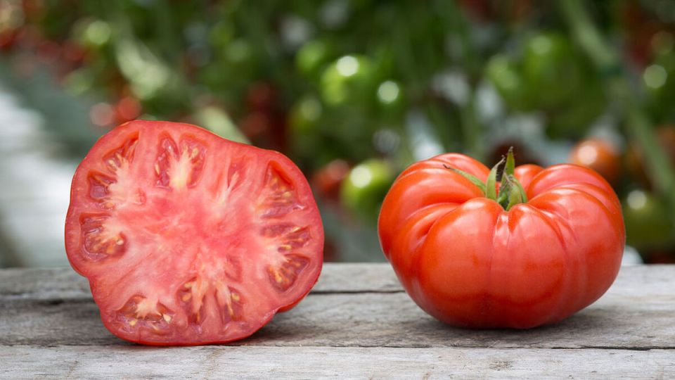 Томаты биколоры: вкус и красота в каждом плоде