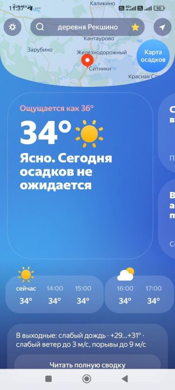 Как жара накрыла дачу и что это значит для урожая