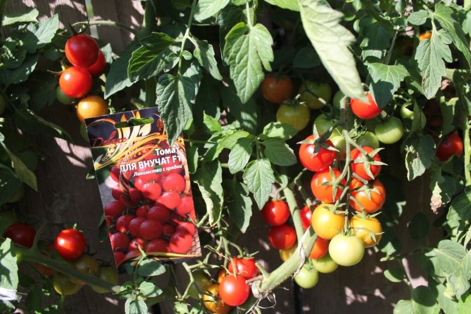  :      &quot;  F1&quot;