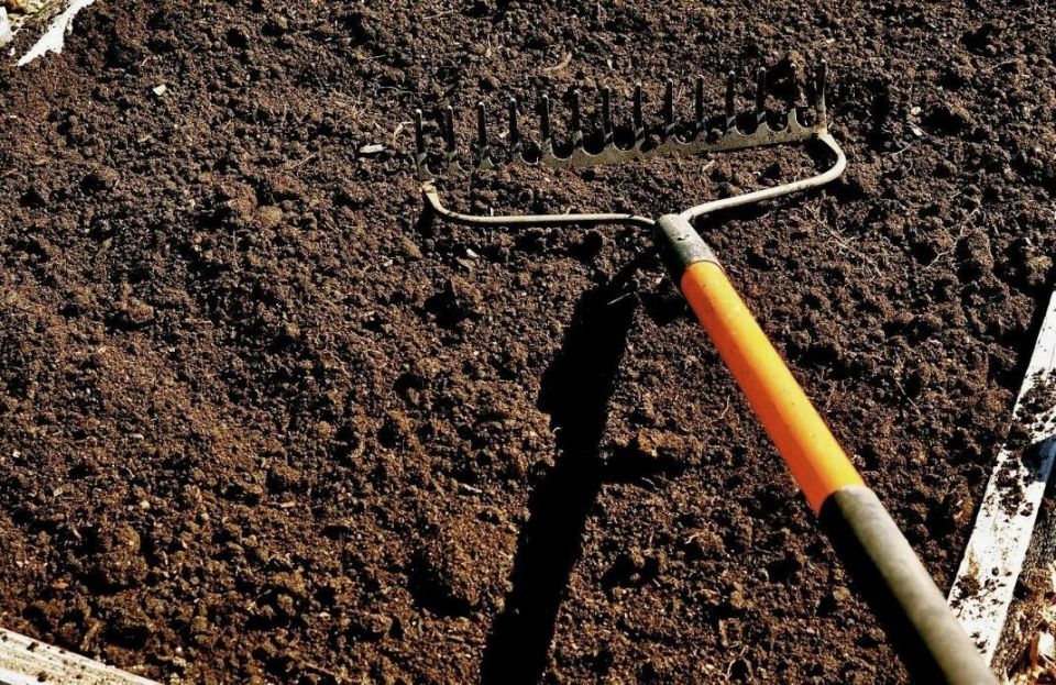 Восстановление плодородия почвы: 7 эффективных методов без перекопки