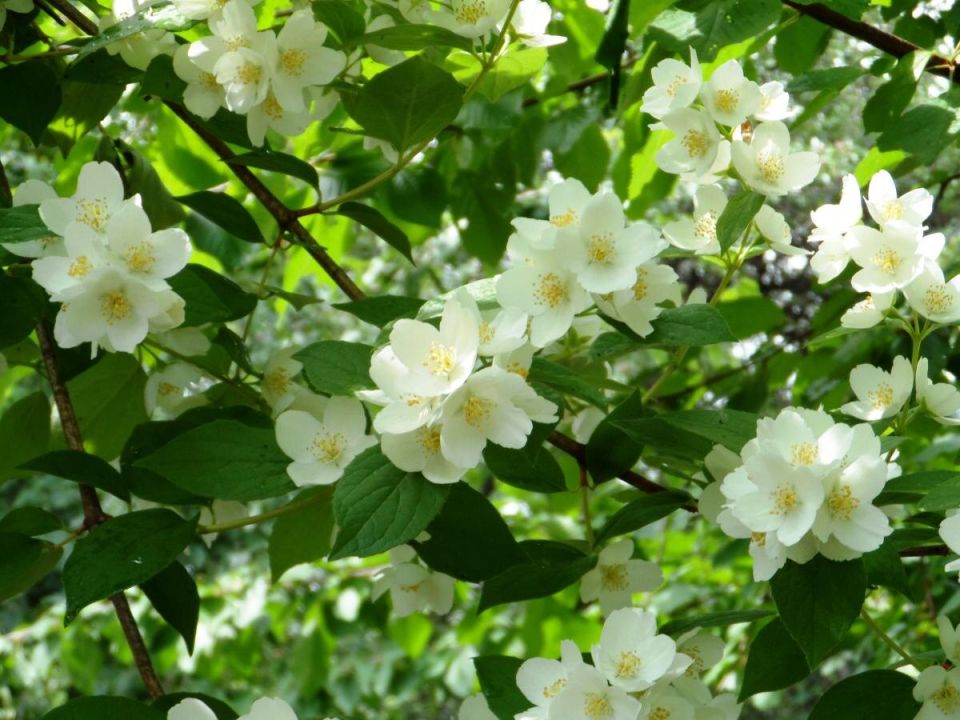 ��������� ������: ������� ����� � ��� ������� �� ����������