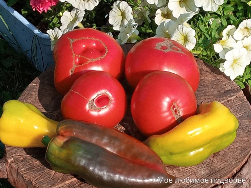 ����� ����������: ����������� ���������� ����� ��� ������ ���������