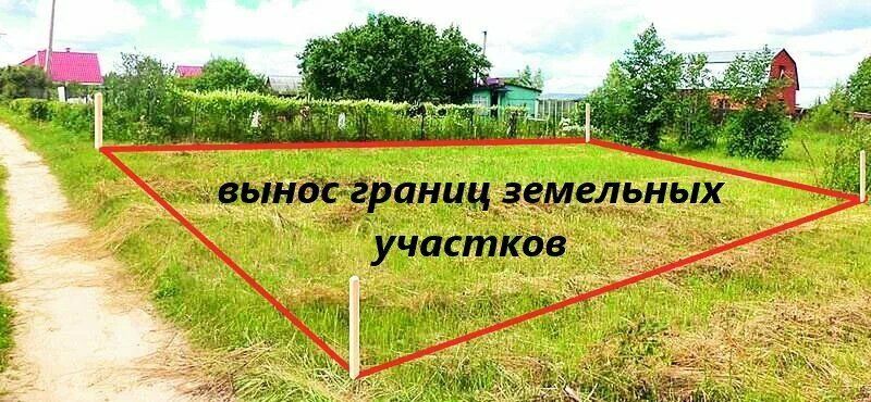 ����� ������ ���������� ������� � 2025 ����: ������ ����� ������������� � ������ ���������