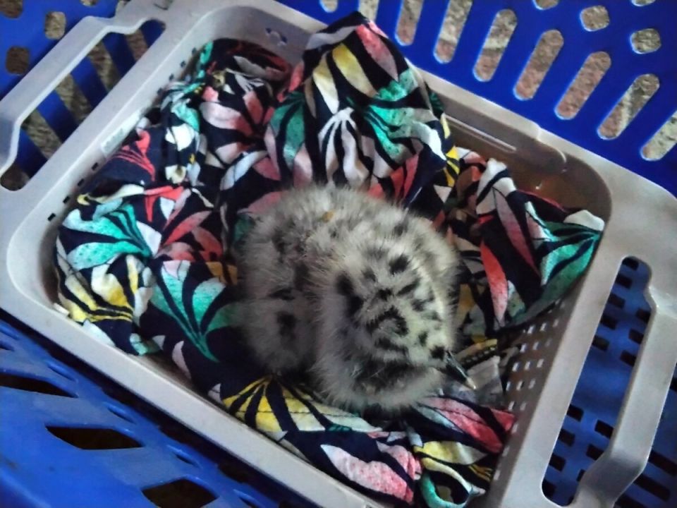 ������: ��� ������ �������� � ����� ������ ����� � ����� ��������� ��������