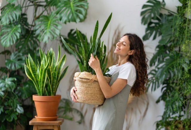 �����������: ��������, ������� ����� �� ������