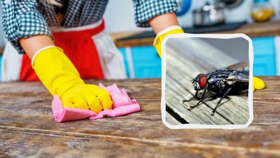 ����������� ������� ���������� �� ��� � ����: ������� ��� �����