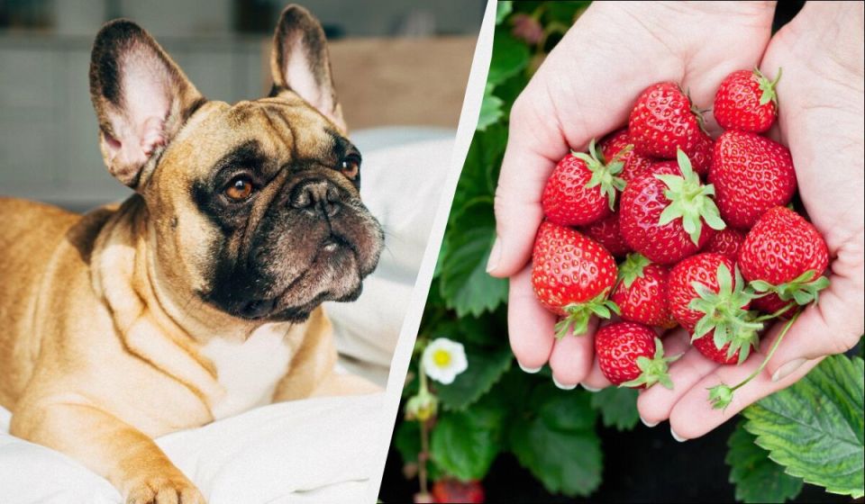 �������� ��� ������������: ��� ����� ����� ���������� �����