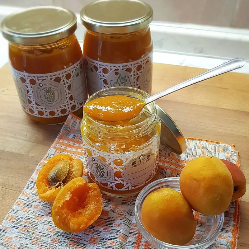 ������ ����: ��� ����������� ����������� �������� � ����������� ����������� ������