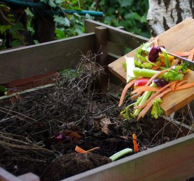 ������� ��������� ��������: ��� �����, � ��� �� ����� ���������