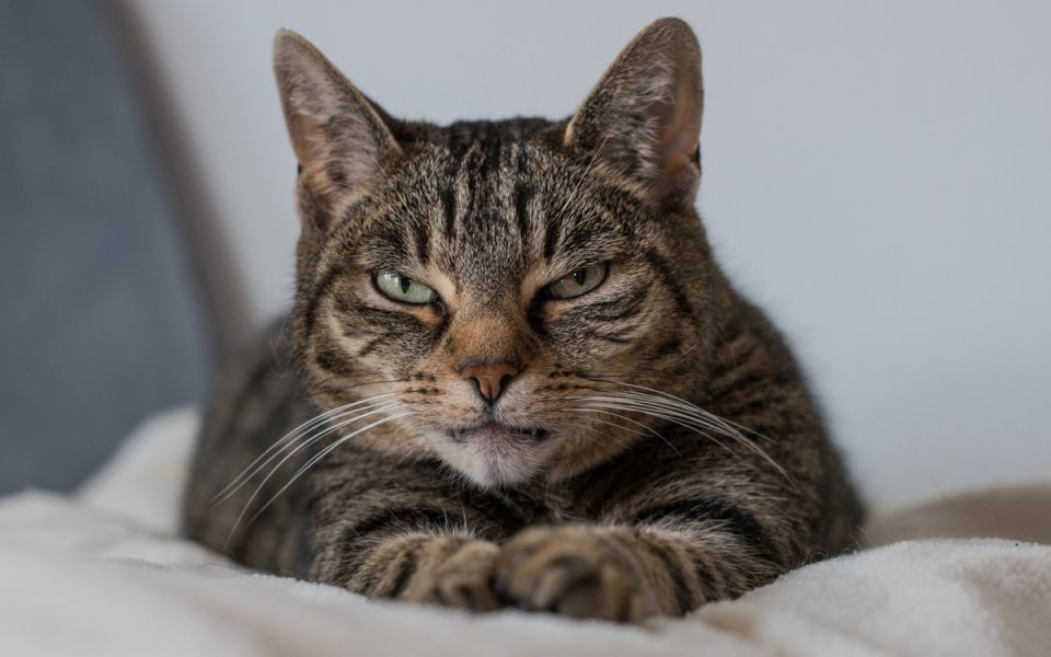 ��� ������ � ��������� �����������: ��� ������ ������ � ����