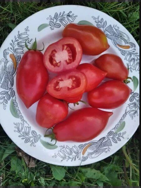 ����� ���� �� �������: ��� ����������� �������� �������� ������� ����