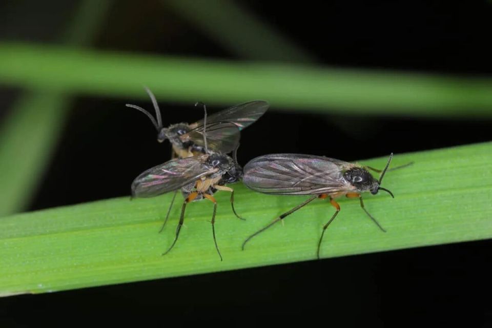 ������ � ���������� ����������� � �������� ���������