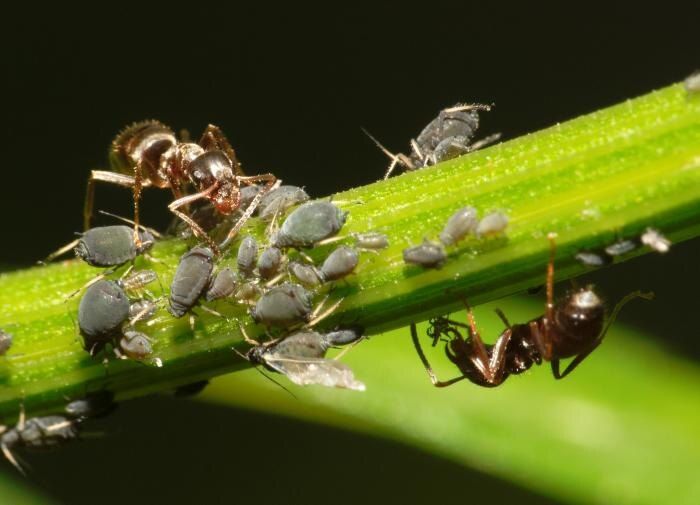 ������� ������ � ��������� �� �������