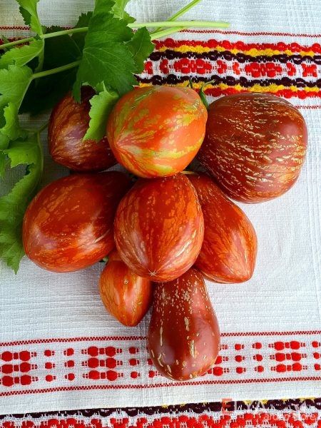 ����� �������� ���: ��� ��������� ������ � ����� ������