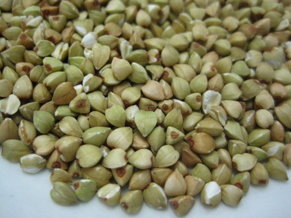 Почему гречка — секрет вашего урожая: все, что нужно знать