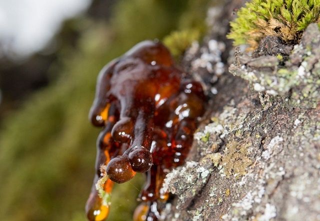 ��� ������ ����� � ������ � ���� ��� ������ ������