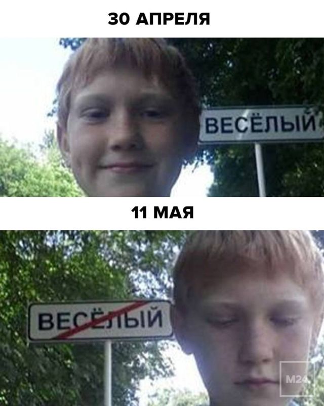  ,   :    