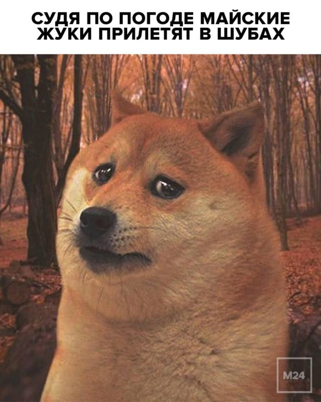  ,   :    