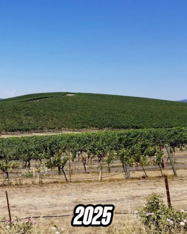   :     Windows XP   