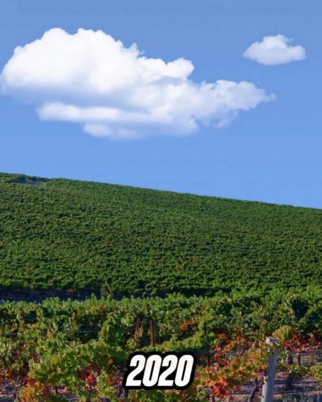   :     Windows XP   