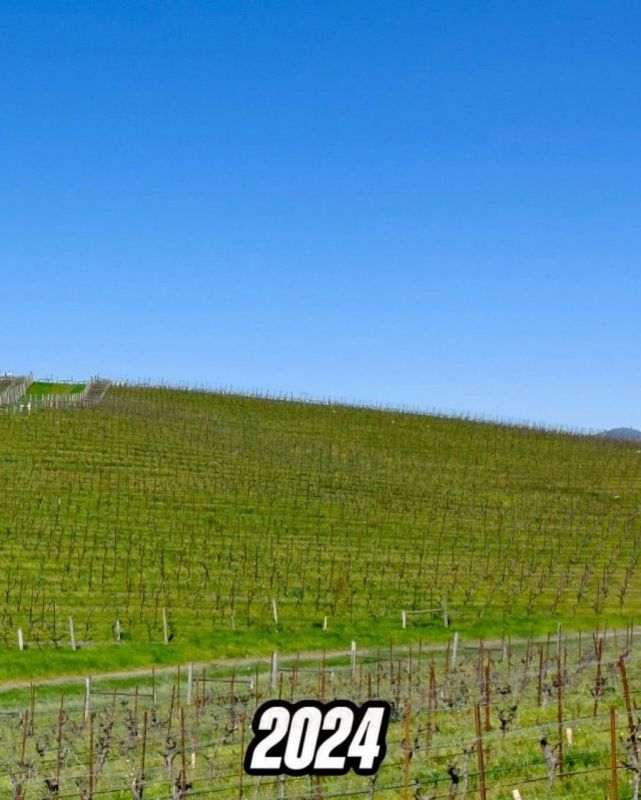   :     Windows XP   