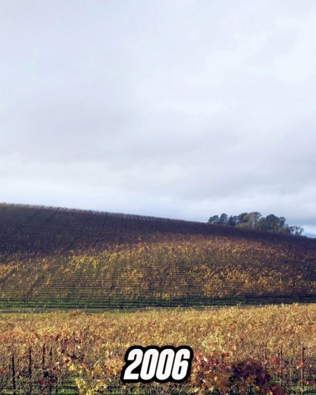   :     Windows XP   