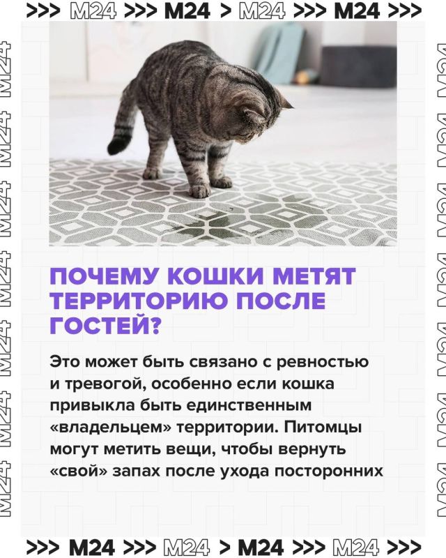        !