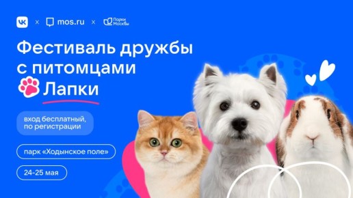         VK