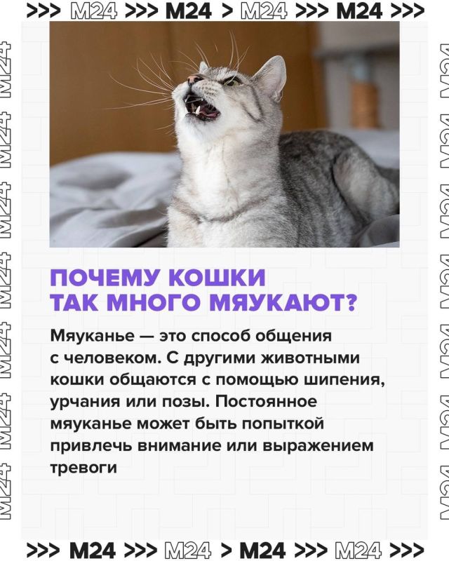        !