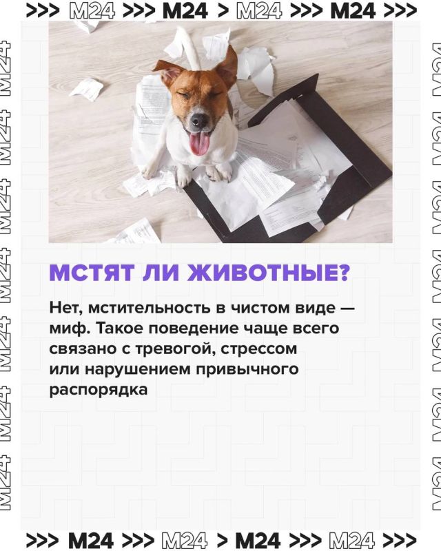        !