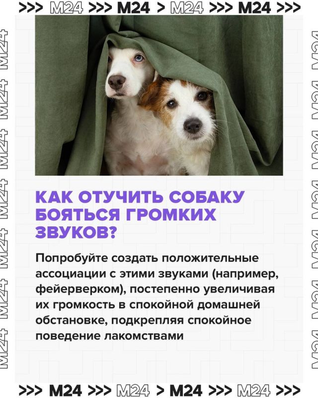        !