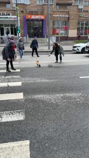      &quot;&quot;