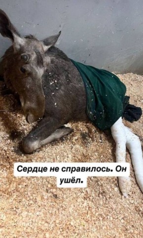    :  ,    