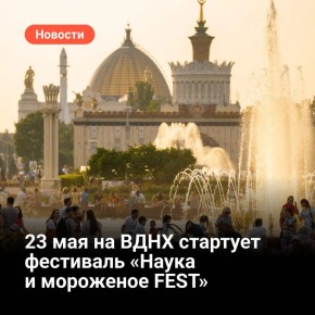  23  25           FEST