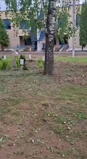   3 ,   