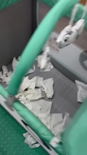       :        