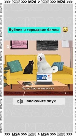   :.  :          11 