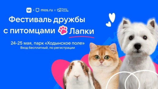 --,   !