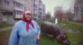 Российская пенсионерка завела у себя в квартире бегемота и все благодаря ИИ