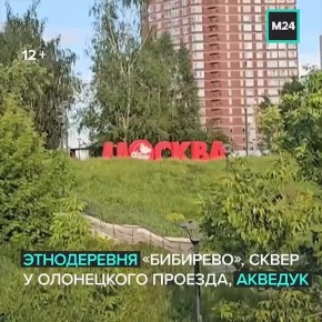   :       