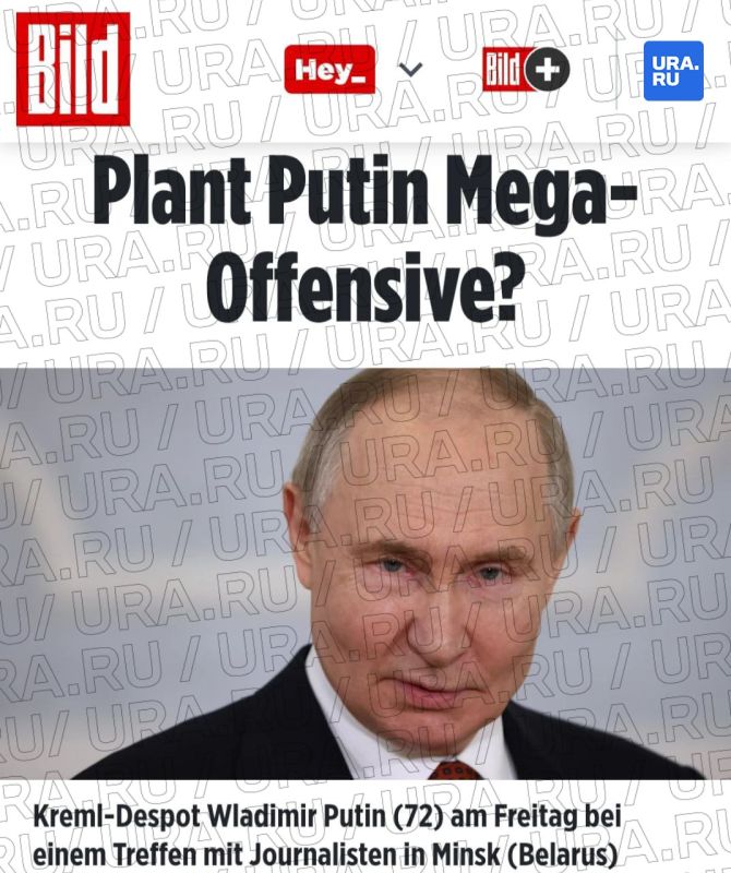    :     