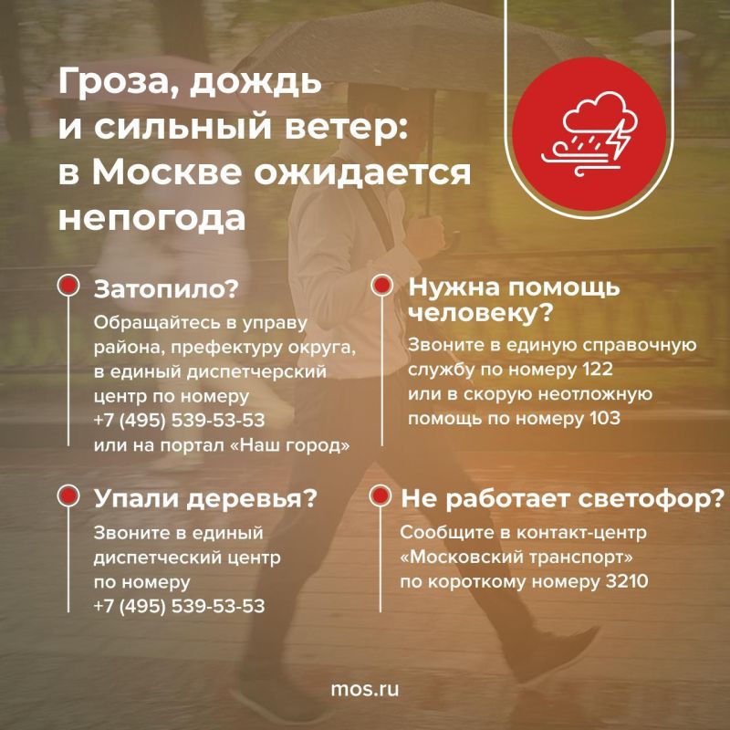   ,    29   1     , ,    17 /