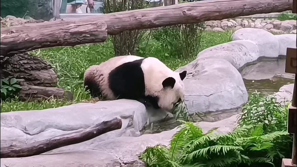   ,   : ,    ,    ,      .      ! ? ,  ,    ...