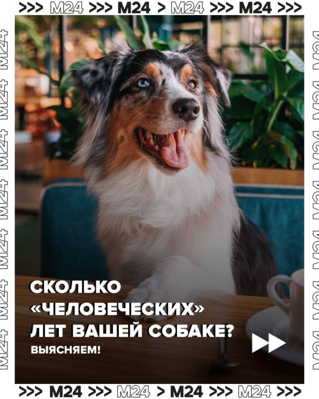    ,         ? ,  ,     