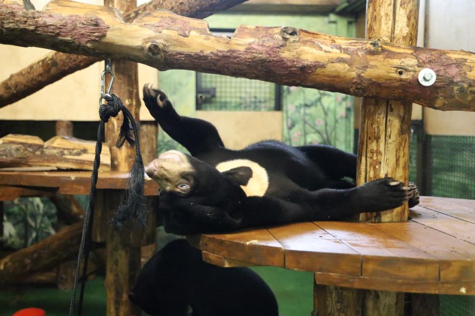 ,      zoo.mos.ru!          14:00  16:00