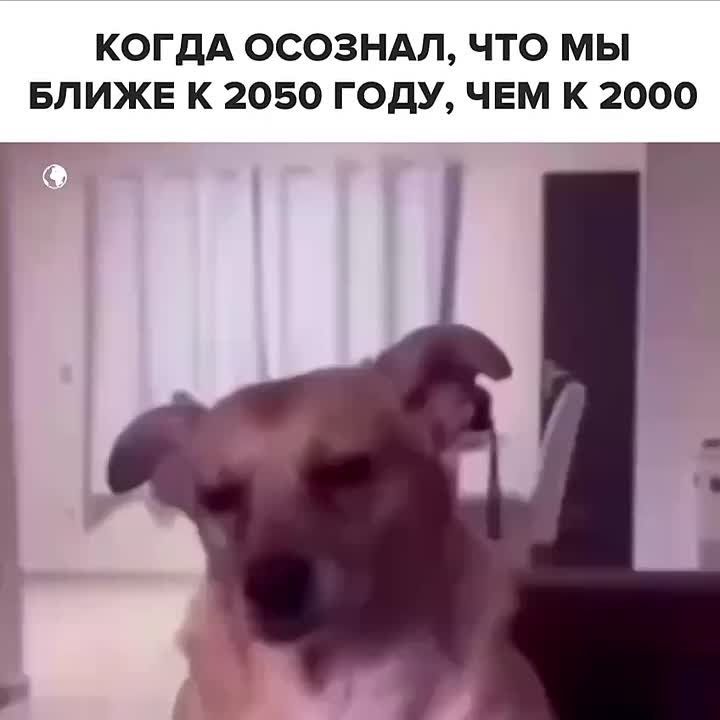    :      ,   